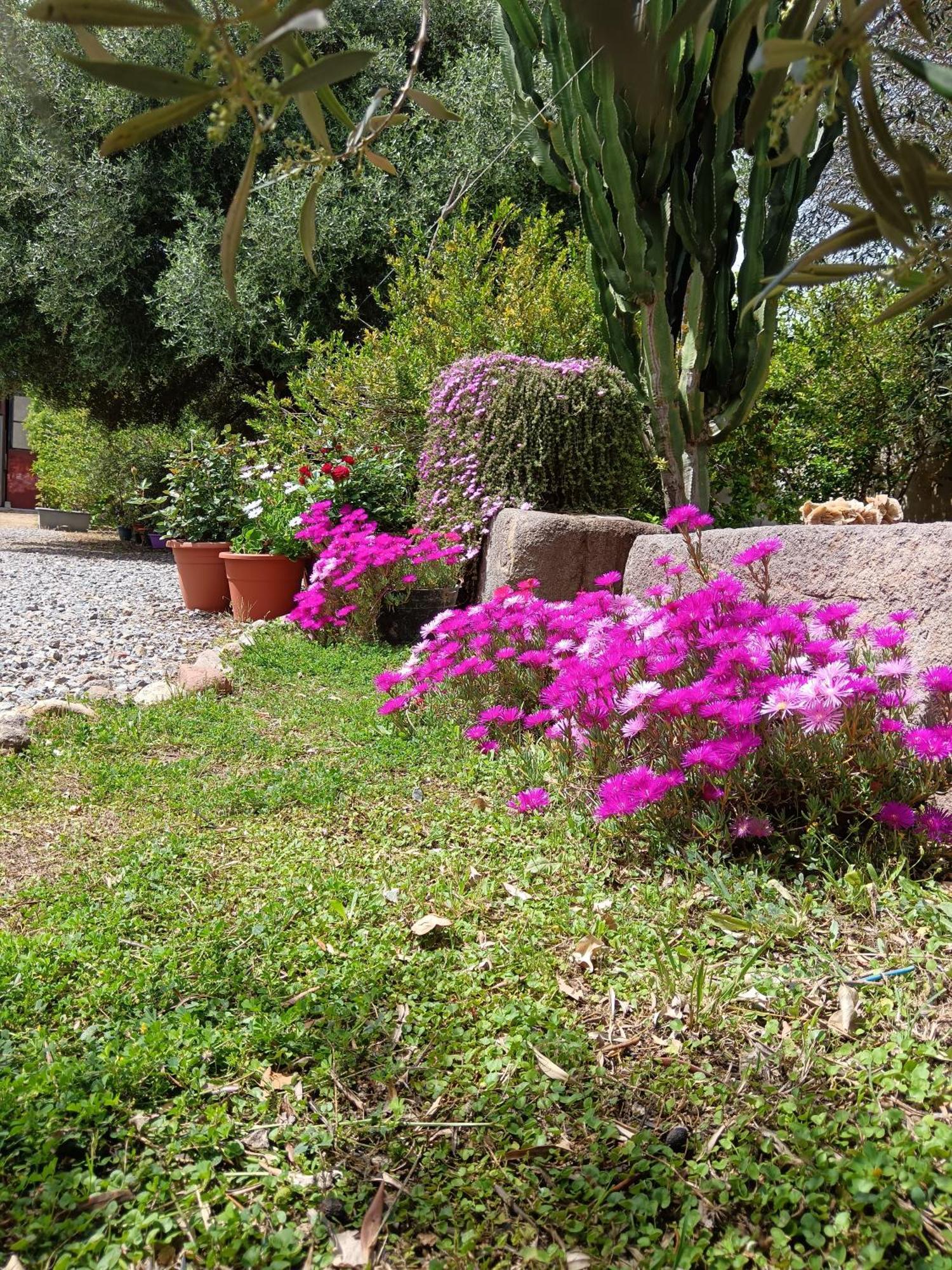 Sulcis Camere San Giovanni Suèrgiu エクステリア 写真